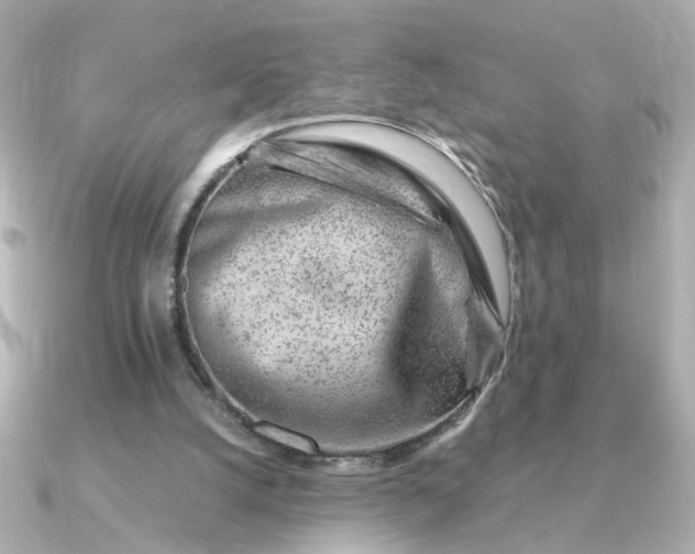 X0000090880056200708101352