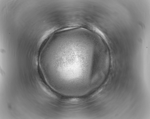 X0000090880059200708101352