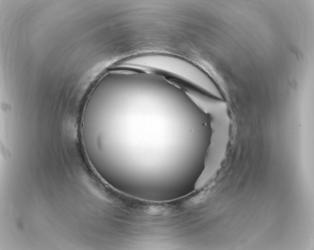 X0000090880060200708101352