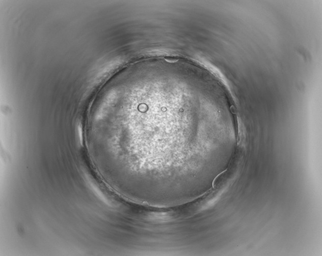 X0000090880061200708101352