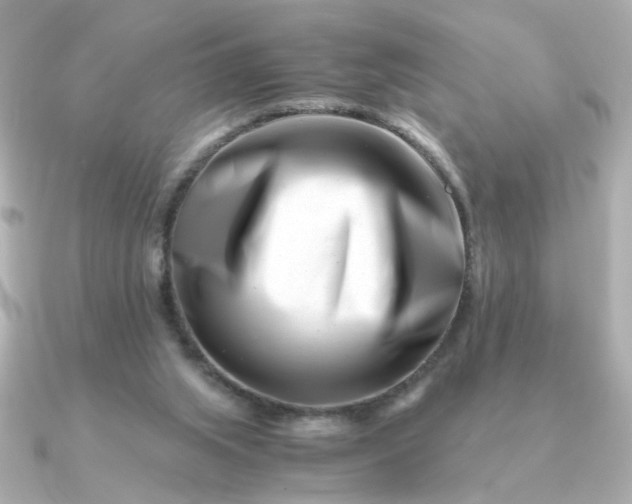 X0000090880063200708101352