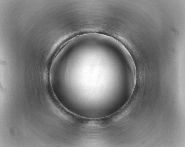 X0000090880064200708101352