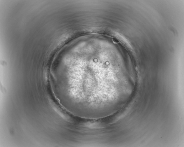 X0000090880065200708101352