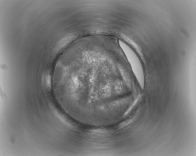 X0000090880067200708101352