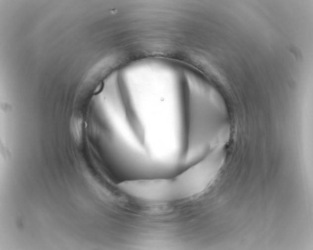 X0000090880070200708101352