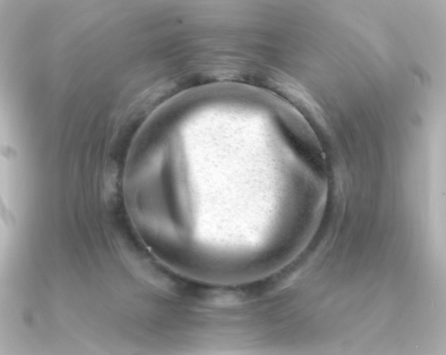 X0000090880073200708101352