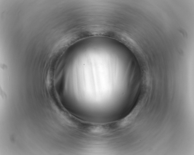 X0000090880074200708101352