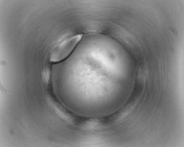 X0000090880076200708101352