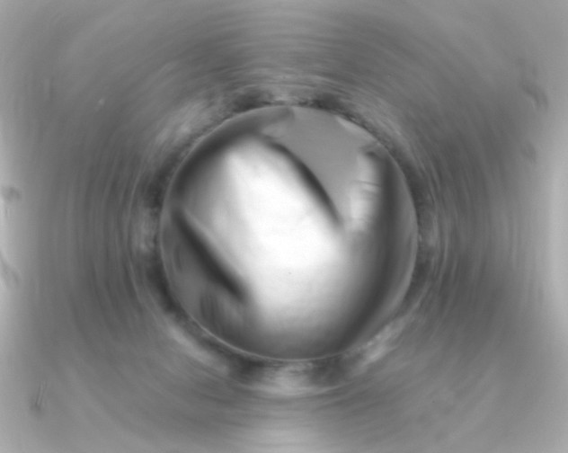 X0000090880078200708101352