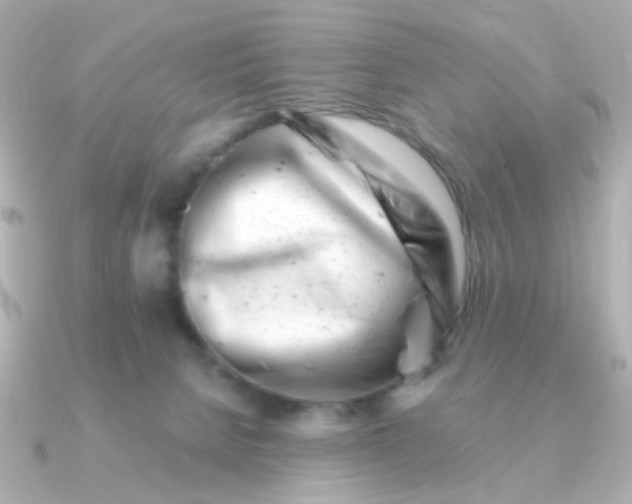 X0000090880080200708101352