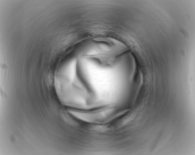 X0000090880081200708101352