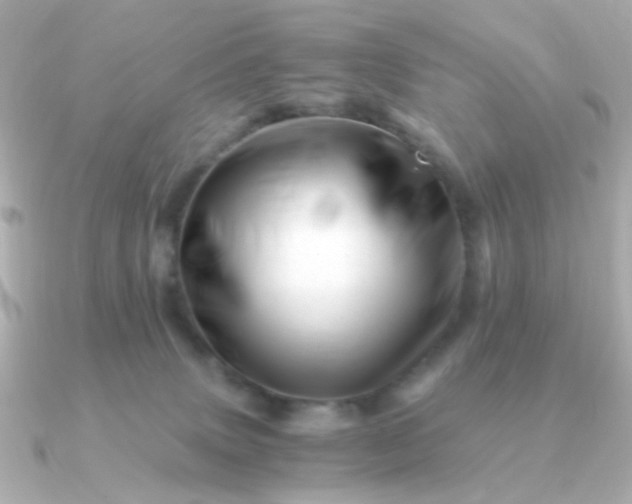 X0000090880083200708101352