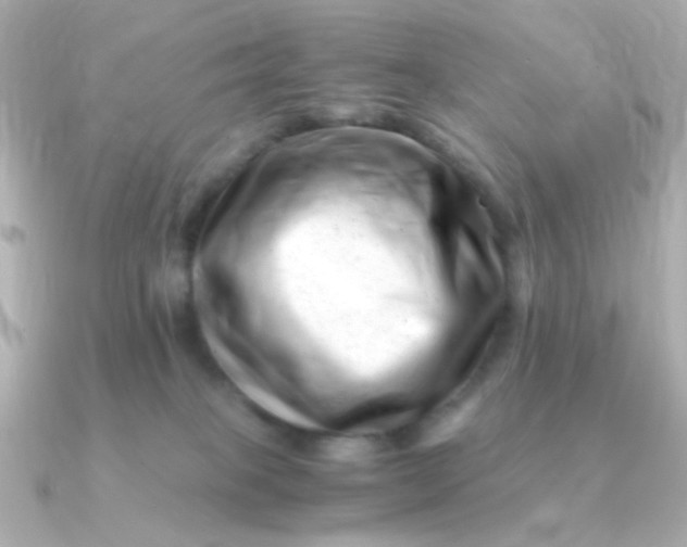 X0000090880085200708101352