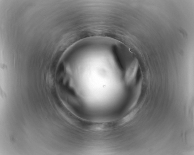 X0000090880086200708101352