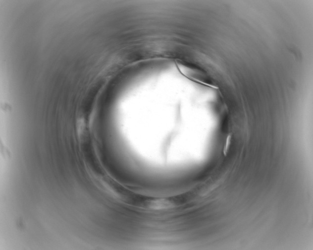 X0000090880087200708101352