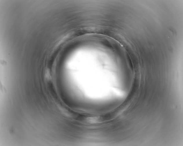 X0000090880089200708101352