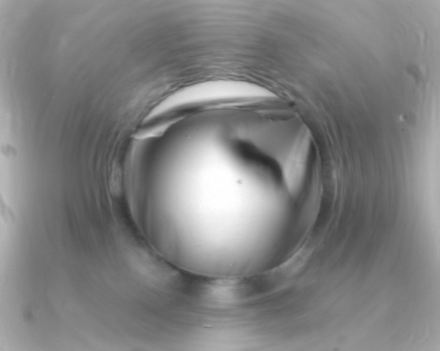 X0000090880090200708101352