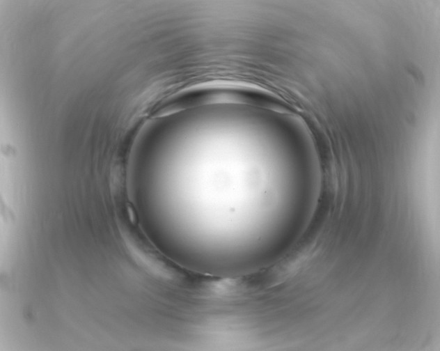 X0000090880092200708101352