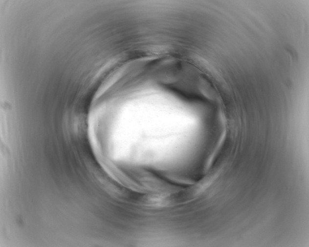 X0000090880093200708101352