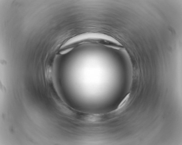 X0000090880094200708101352