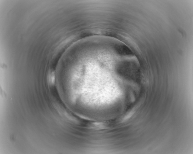 X0000090880095200708101352