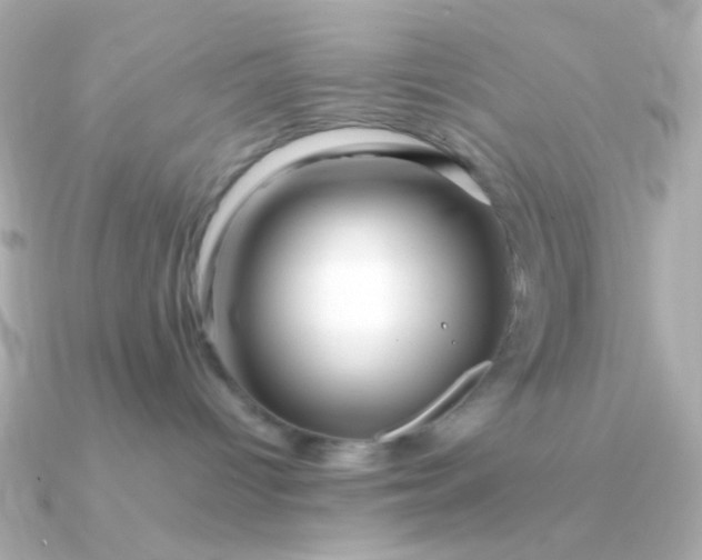 X0000090880096200708101352