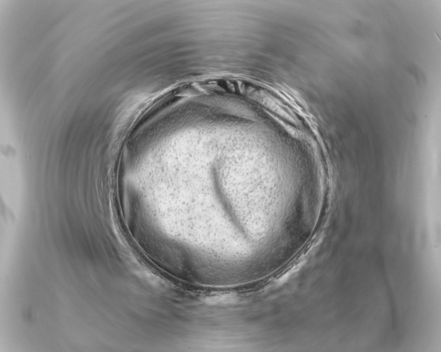 X0000090880097200708101352