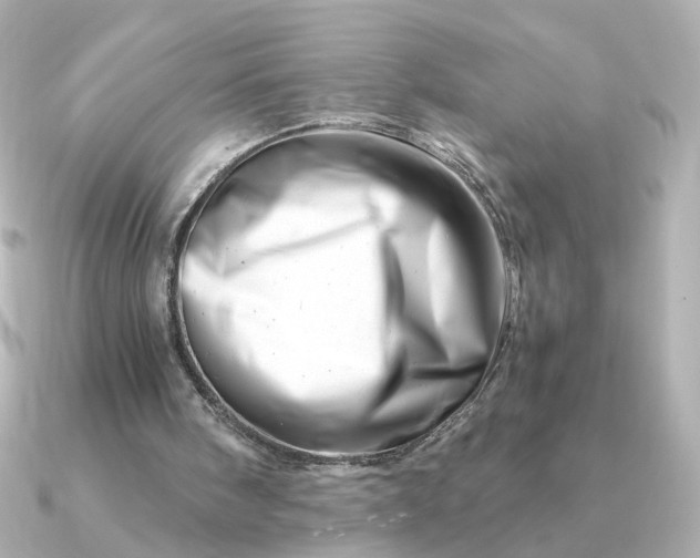 X0000090880098200708101352