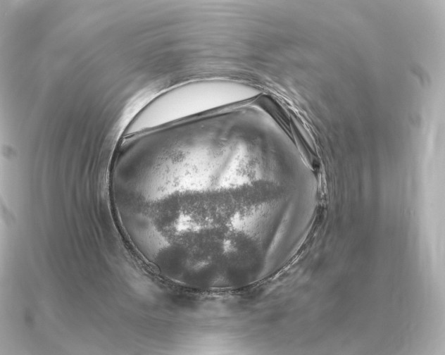 X0000090880099200708101352