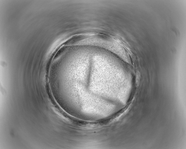 X0000090880101200708101352