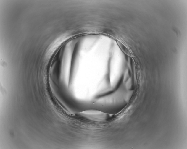 X0000090880103200708101352