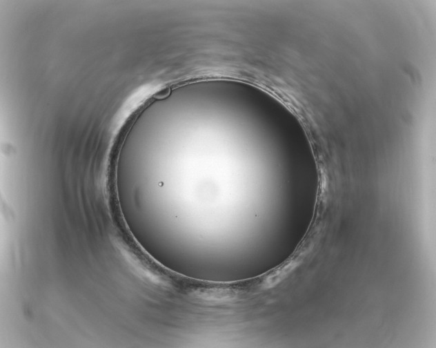 X0000090880104200708101351