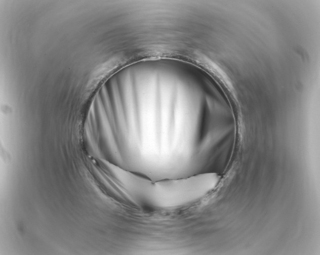 X0000090880105200708101351