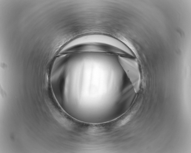 X0000090880109200708101351