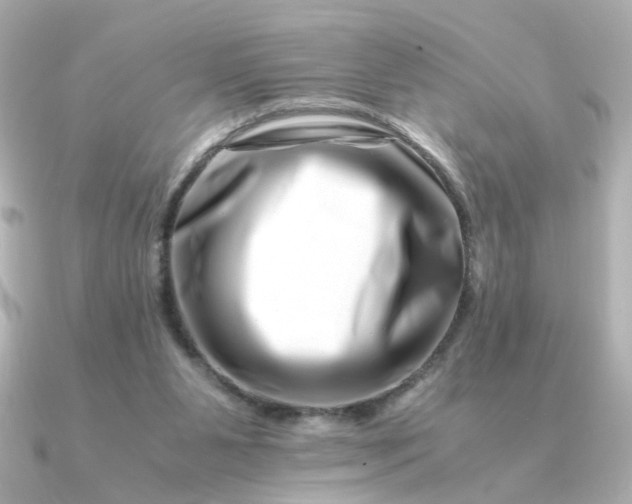 X0000090880111200708101351