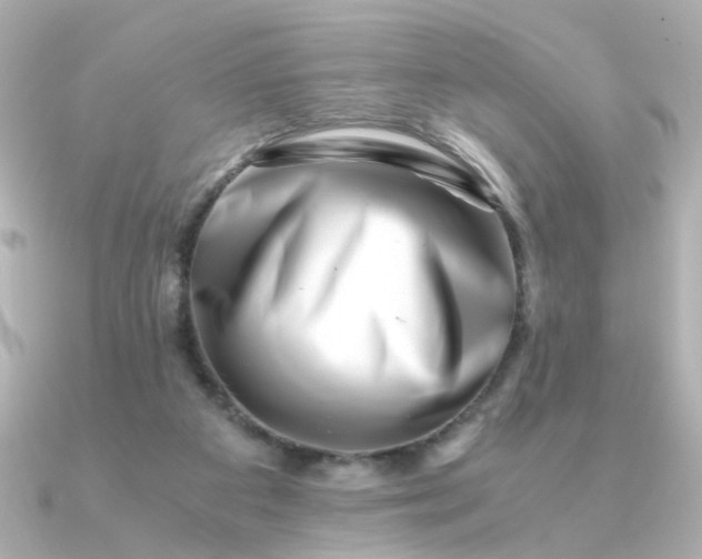 X0000090880113200708101351