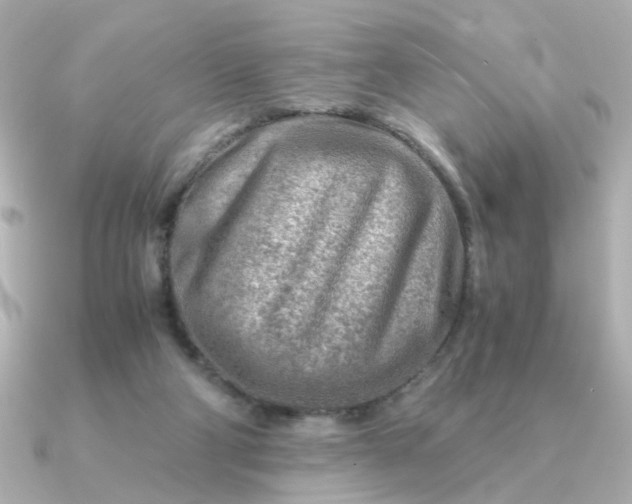 X0000090880114200708101351