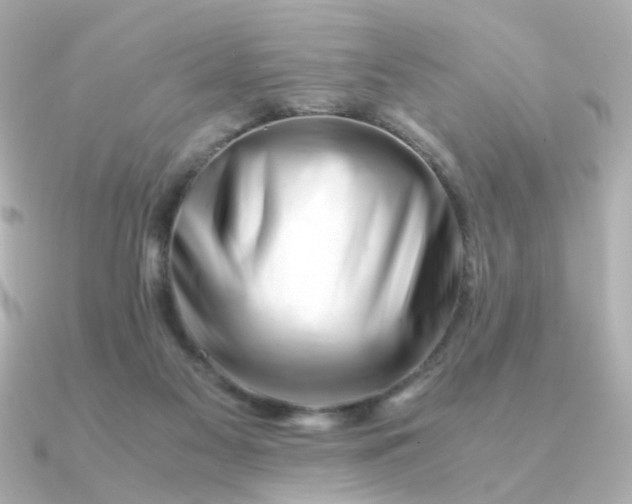 X0000090880117200708101351