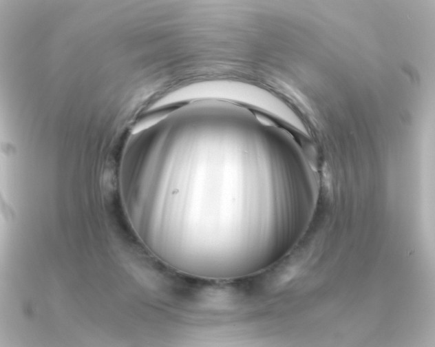 X0000090880119200708101351