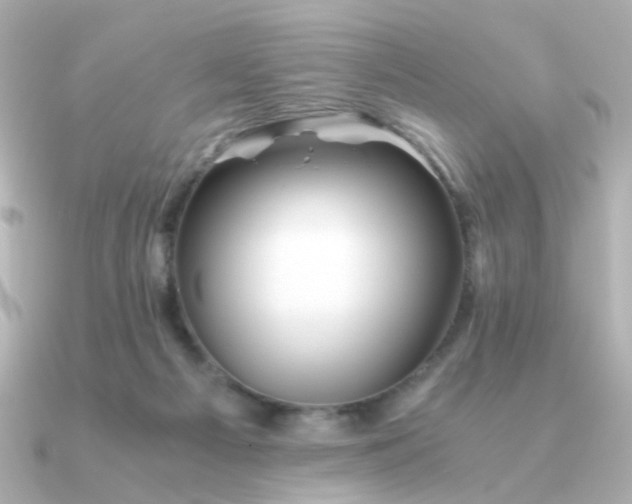 X0000090880121200708101351