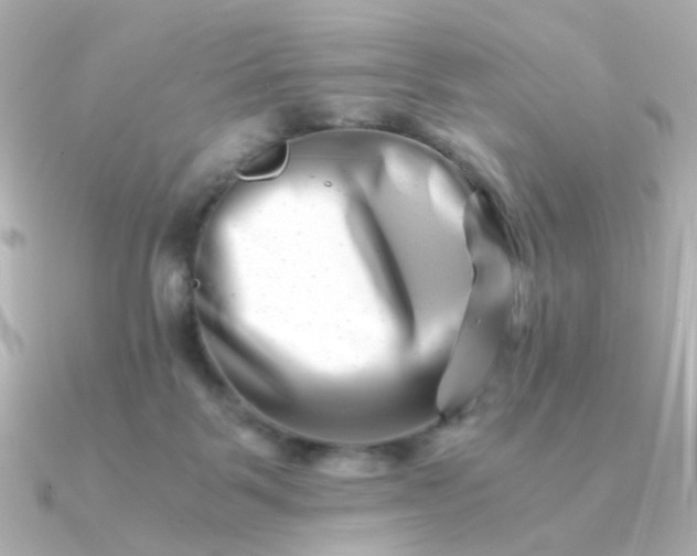 X0000090880123200708101351