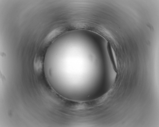 X0000090880124200708101351