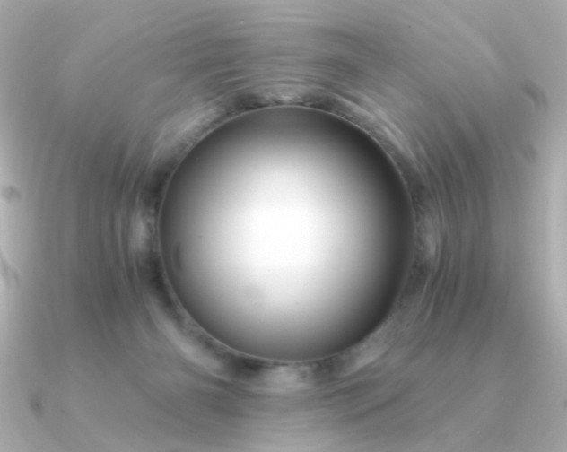 X0000090880126200708101351