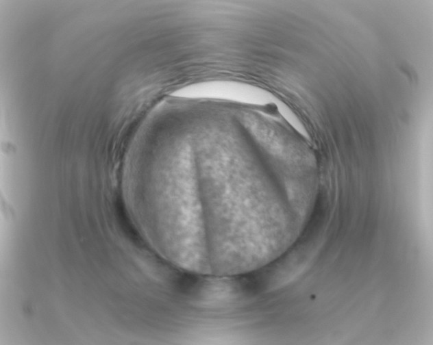 X0000090880127200708101351