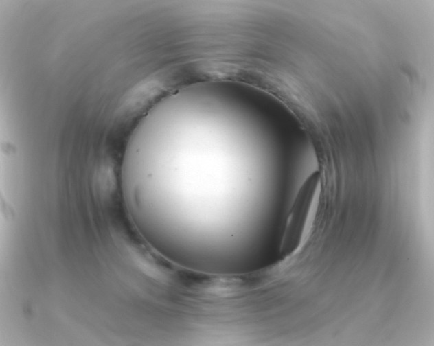 X0000090880128200708101351