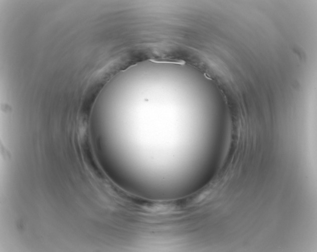 X0000090880129200708101351