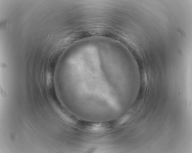 X0000090880130200708101351