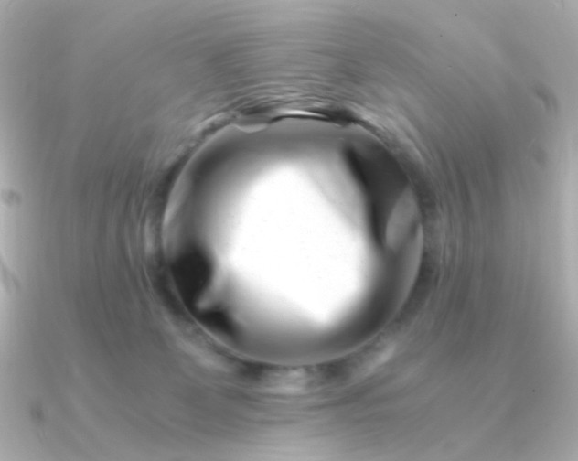 X0000090880131200708101351