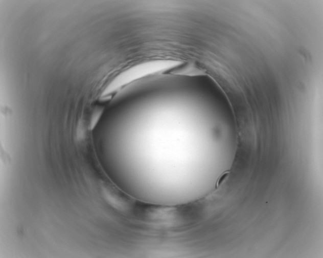 X0000090880132200708101351