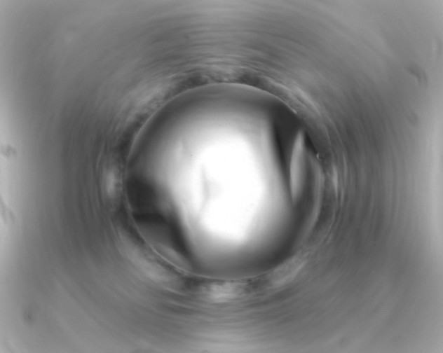 X0000090880134200708101351